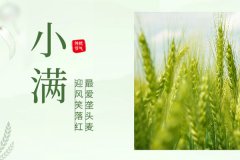 諾海化工 | 物迎夏熟，恰人生小得盈滿